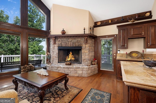 living room featuring hardwood / wood-style floors, a fireplace, and high vaulted ceiling