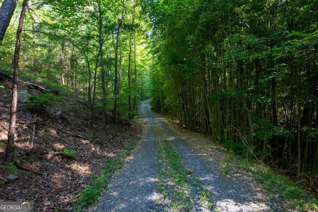 view of street featuring a forest view