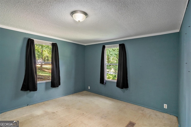 carpeted empty room featuring crown molding, plenty of natural light, and a textured ceiling