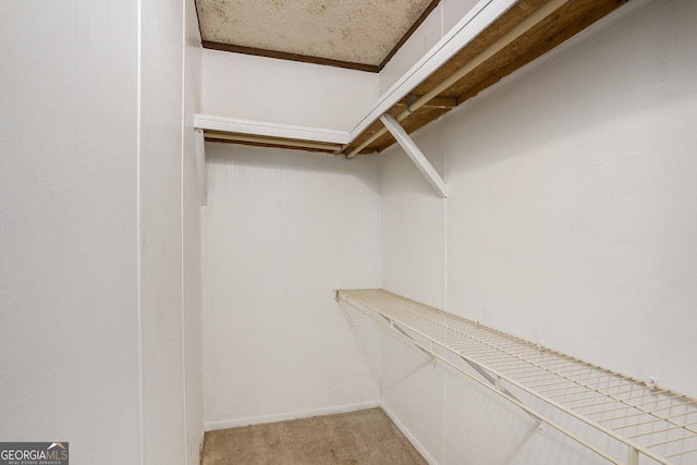 spacious closet with light colored carpet