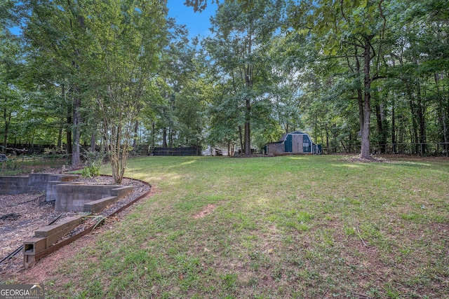 view of yard with a storage shed