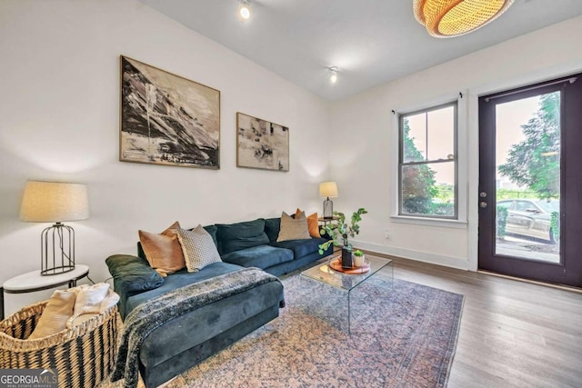 living room featuring hardwood / wood-style floors