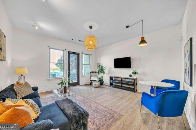 living room with hardwood / wood-style flooring