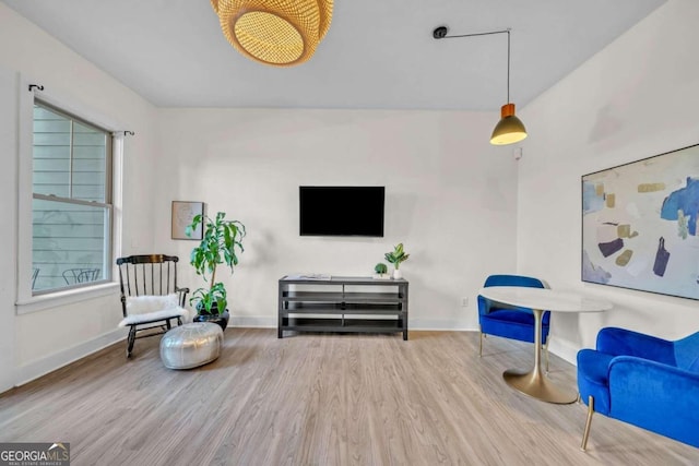 living area featuring hardwood / wood-style flooring