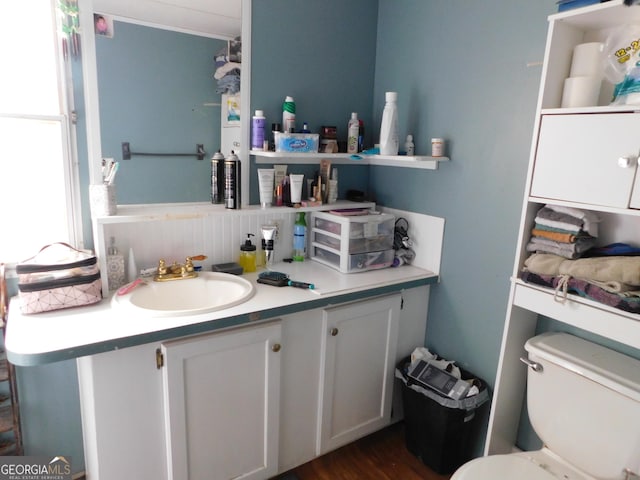bathroom with vanity, toilet, and wood finished floors