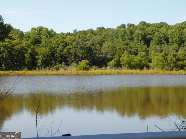 view of water feature