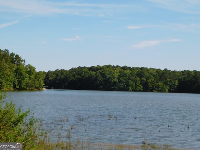 view of water feature