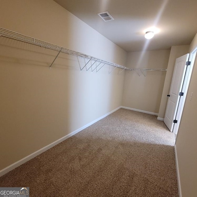 spacious closet with carpet flooring