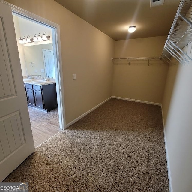 spacious closet featuring light carpet and a sink