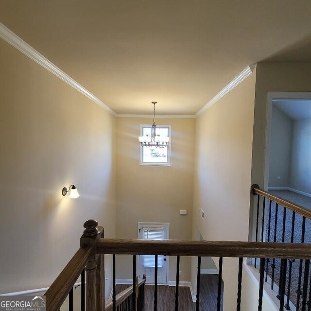 staircase featuring wood-type flooring, a notable chandelier, and ornamental molding