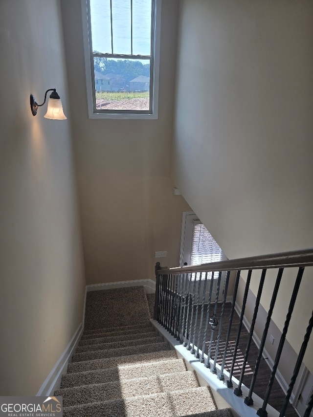 stairs featuring carpet