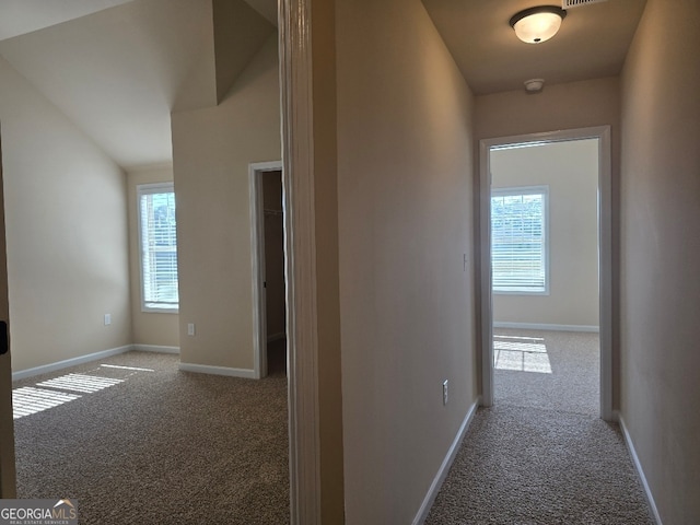 hall featuring carpet floors, lofted ceiling, and a healthy amount of sunlight