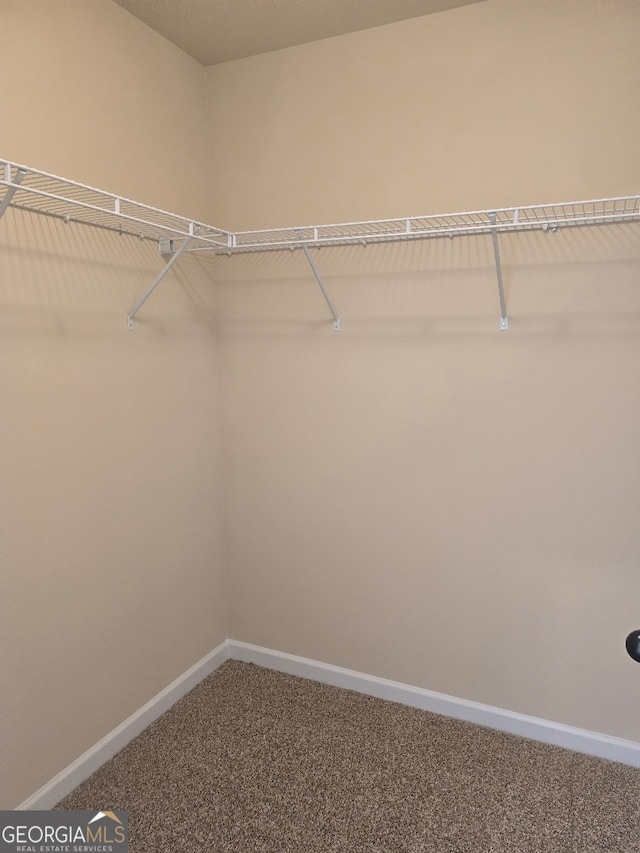 spacious closet with carpet