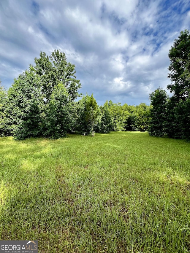 00 Shady Grove Church Rd, Dublin GA, 31021 land for sale