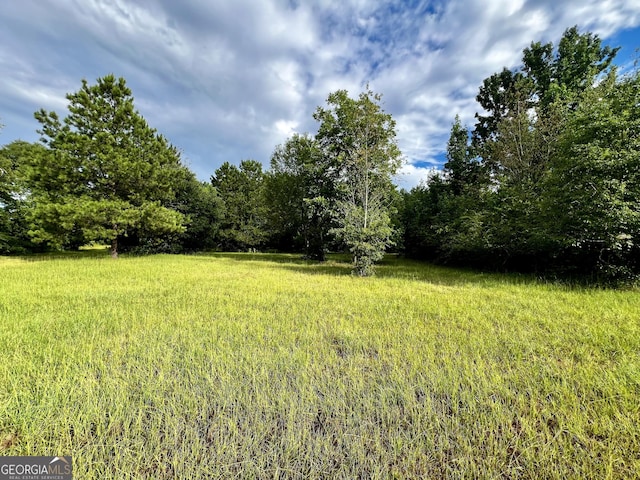 Listing photo 2 for 00 Shady Grove Church Rd, Dublin GA 31021