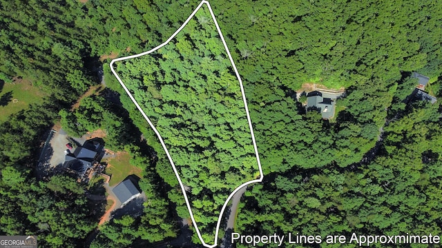 LOT4 Spring Ridge Dr, Morganton GA, 30560 land for sale