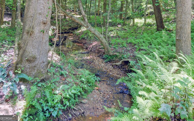 view of local wilderness featuring a water view