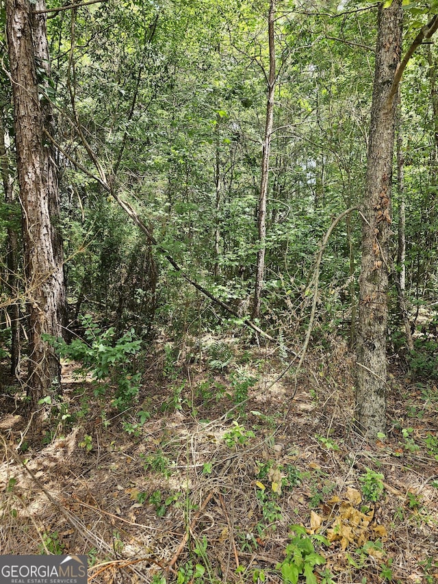 327 Jeffers Rd, Buchanan GA, 30113 land for sale