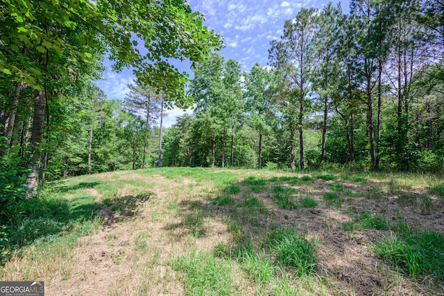 view of local wilderness