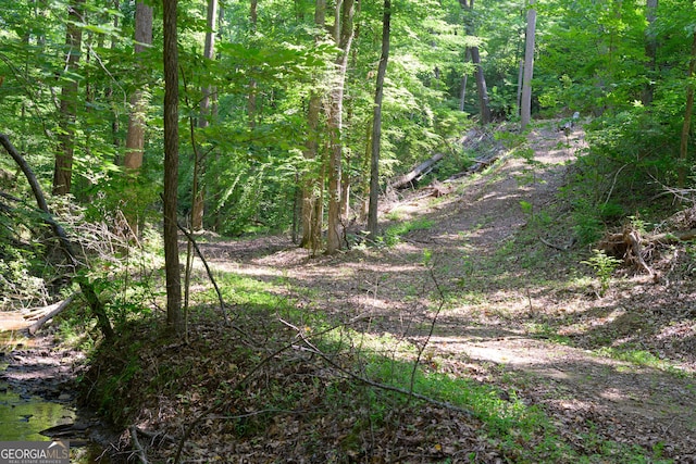 view of local wilderness