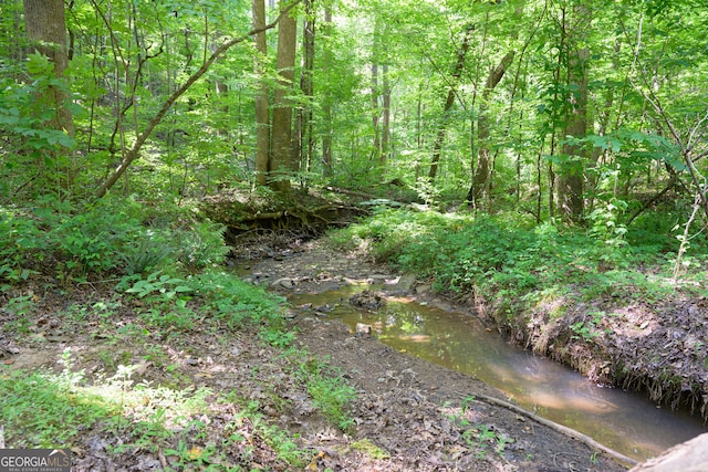 view of local wilderness