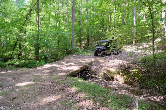 view of local wilderness