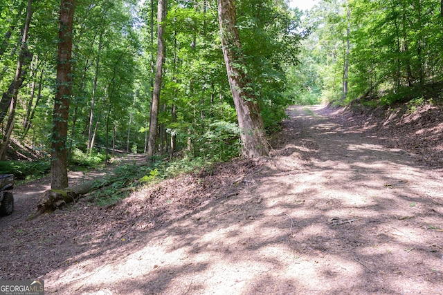 view of local wilderness