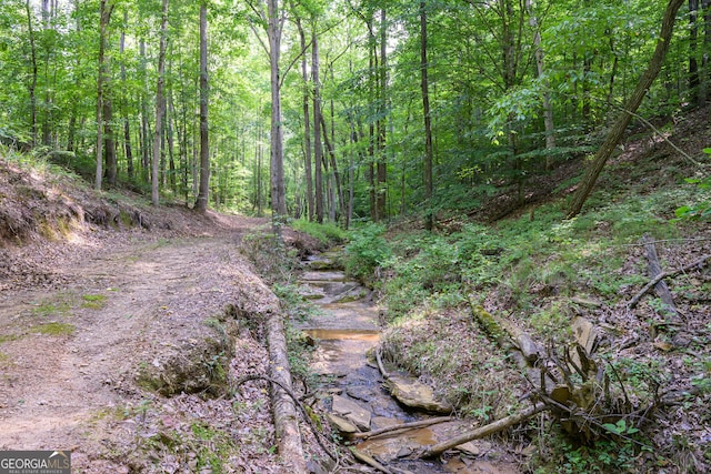 view of local wilderness