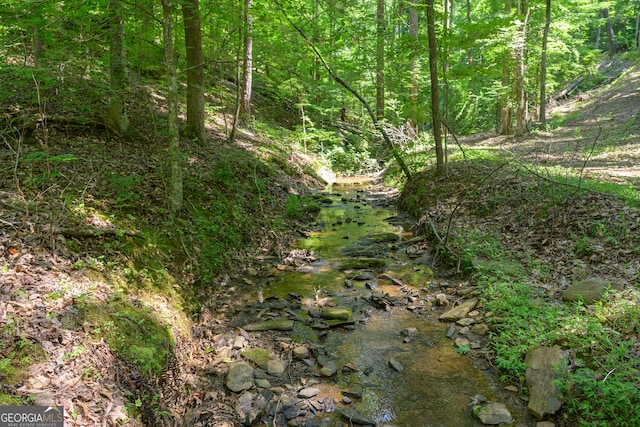 view of local wilderness