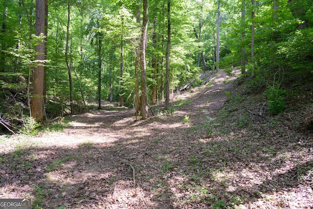 view of local wilderness