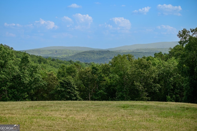 view of mountain feature