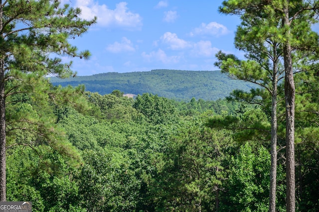 view of mountain feature