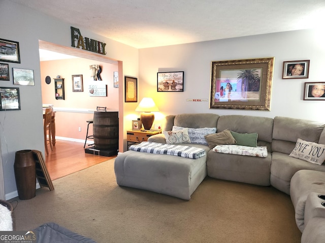 living room with light wood-type flooring