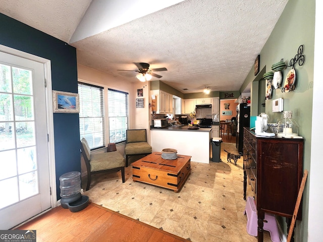 living room with a healthy amount of sunlight, a textured ceiling, and ceiling fan