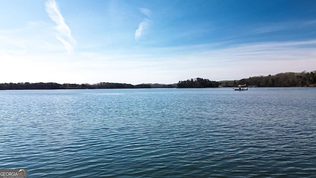 4563 Fawn Path, Gainesville, GA 30506 - water view