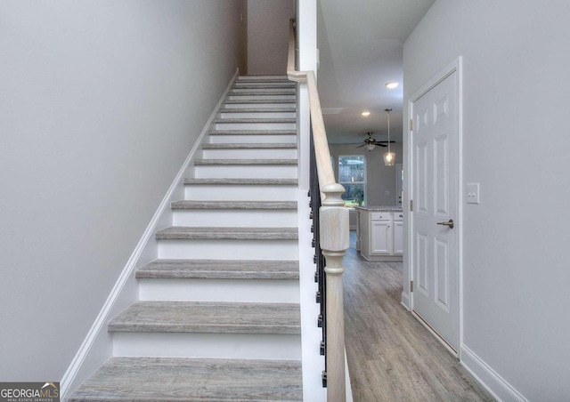 staircase with wood-type flooring and ceiling fan