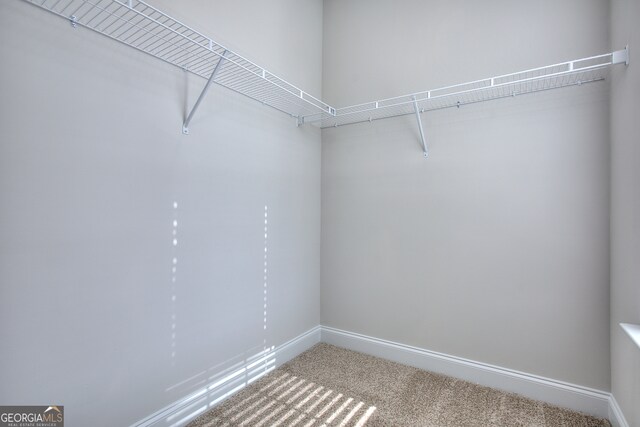 walk in closet with carpet floors