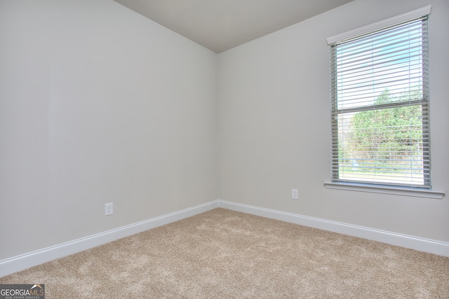 spare room with light carpet