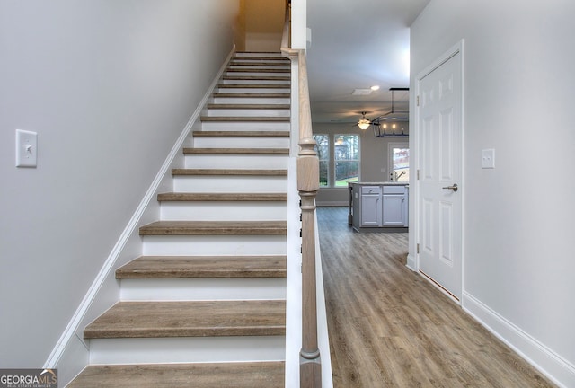 staircase with hardwood / wood-style flooring