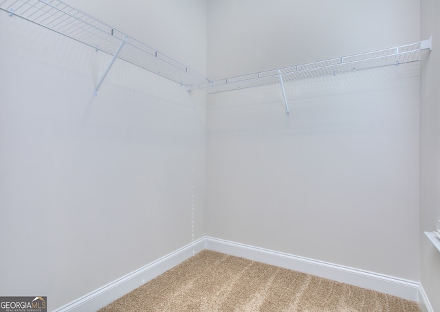 walk in closet featuring carpet floors