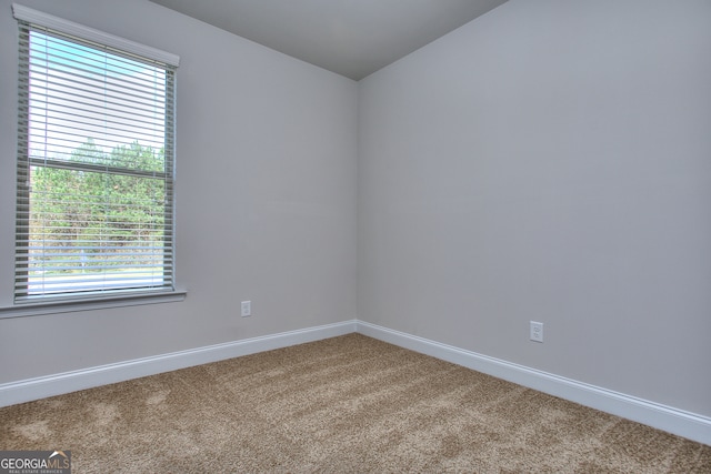 carpeted spare room with a wealth of natural light