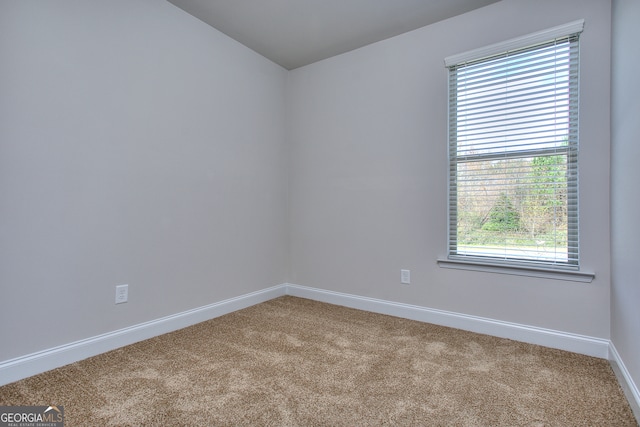 carpeted spare room with a wealth of natural light