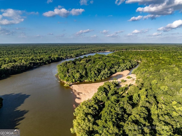 0 Old River Rd, Jesup GA, 31545 land for sale