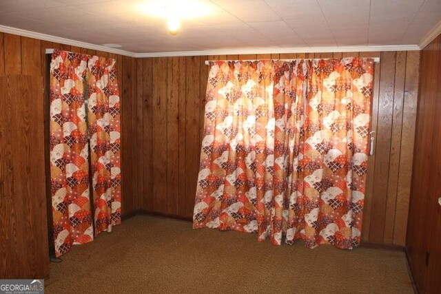 carpeted spare room featuring wooden walls