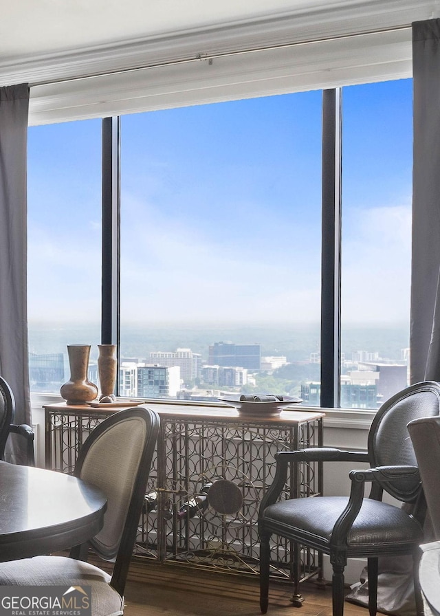 interior space featuring wood finished floors, plenty of natural light, a water view, and a city view