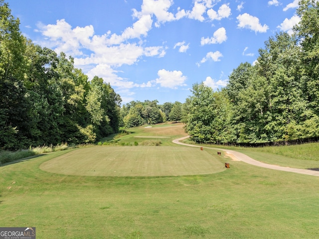 view of home's community with a yard