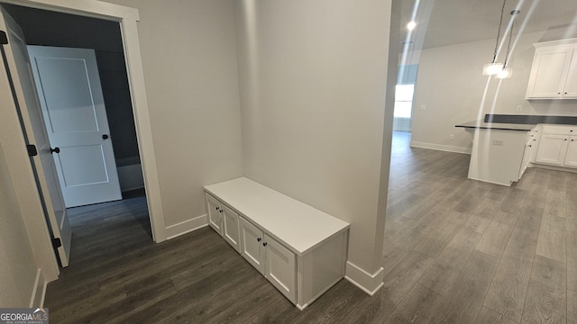 mudroom featuring dark hardwood / wood-style flooring