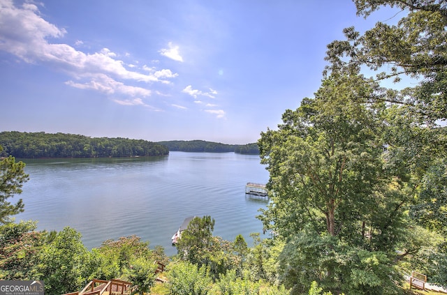 water view featuring a boat dock