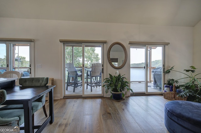 doorway to outside with wood-type flooring