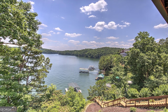 view of water feature featuring a dock